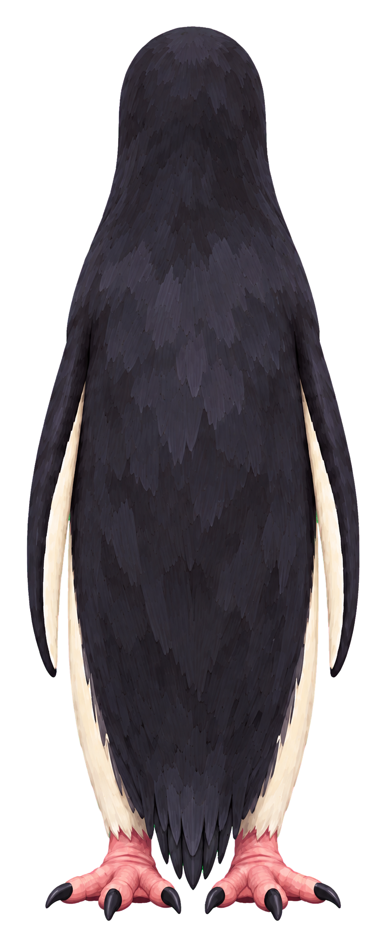 Penguin reference, back view