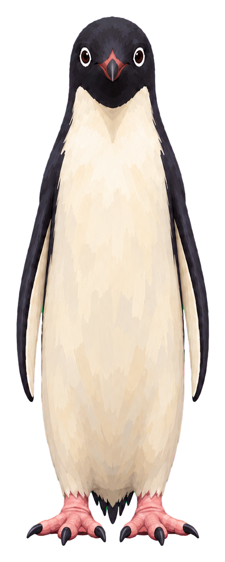 Penguin reference, front view